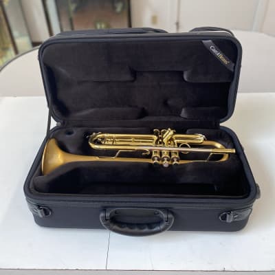 New Carol Brass CTR-5060H-GSS-SLB Professional Bb Trumpet,Satin Lacquered Bell; with Case, Mouthpiece image 8