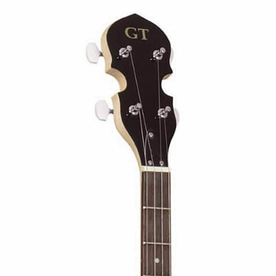 Gold Tone GT Series AC-5 5-String Composite Banjo (VAT) image 3