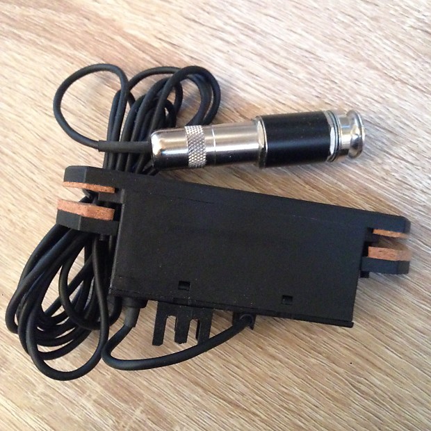 Fishman Rare Earth Bass Pick-up for acoustic bass NEW | Reverb