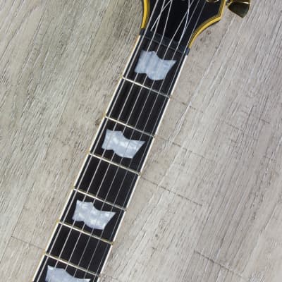 ESP LTD EC-1000 Guitar, Macassar Ebony Fretboard, Vintage Black image 7