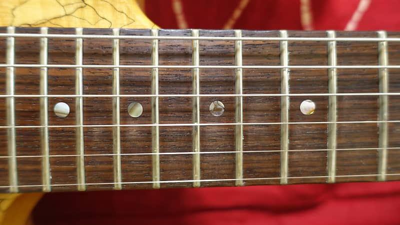 On Sale!】 Bacchus 04 Empire Spalted Maple Made in Japan Deviser | Reverb  Canada