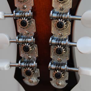 Alvarez Mandolin F style, excellent condition, case image 10