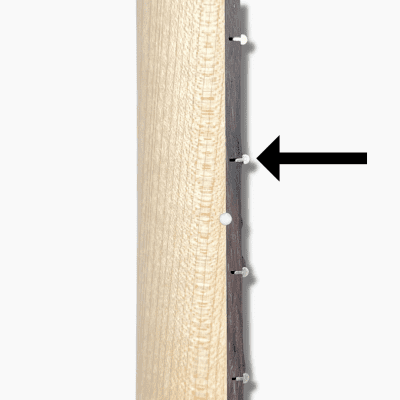 Allparts "Licensed by Fender®" SRO-C Replacement Neck for Stratocaster® - High Fret image 3
