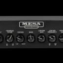 Mesa/Boogie Subway D-800+