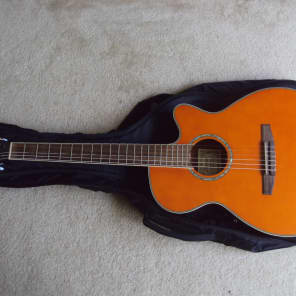Ibanez AEG10NE Nylon String Cutaway Acoustic-Electric Guitar image 3