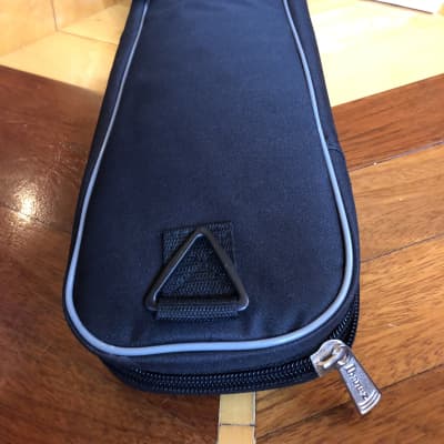Ibanez IGB101 Electric Guitar Gig Bag | Reverb