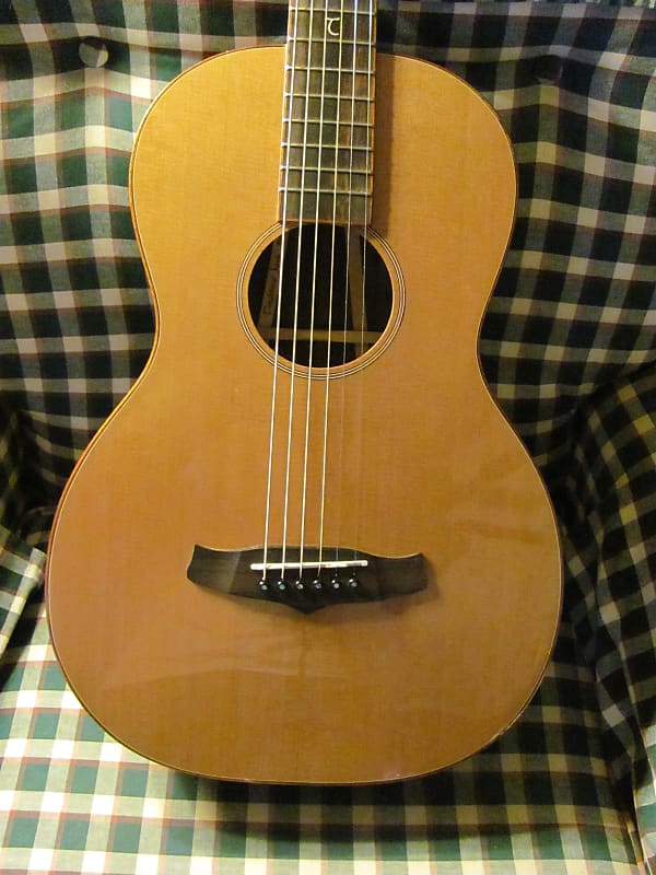 Tanglewood TWJP Parlor Acoustic Guitar Reverb