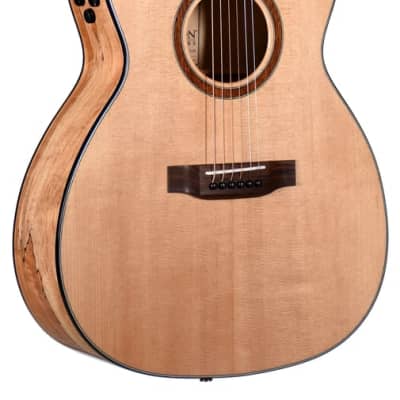 Teton Exotic Series Spruce and Spalted Maple Grand Concert Acoustic Guitar w/ Fishman Electronics for sale