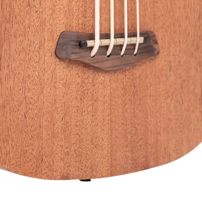 Gold Tone M-Bass25FL 25-Inch Scale Fretless 4-String Acoustic-Electric MicroBass w/Hard Case image 6