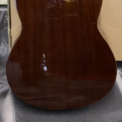 Cort SFX-CED NS Solid Red Cedar/Mahogany Venetian Cutaway with