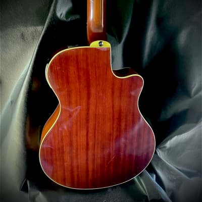 "LEFTY" , Yamaha APX-5LA , Acoustic Electric Guitar image 18