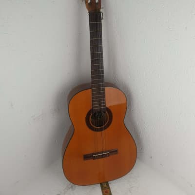 Guitar Acoustic Hofner ANNO image 1