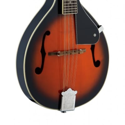 Stagg Bluegrass Mandolin w/ solid Spruce top for sale
