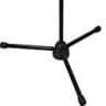 Ultimate Support Pro Series R PRO-R-T-T Microphone Stand, Black