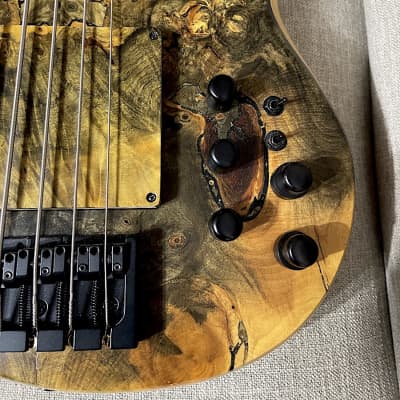 Prat M-BSV 5 string  bass 2016 Buckeye Burl top - Nordstrand pickups - Noll electronics - Fodera strings image 12
