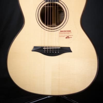 Mayson Artist Series MS9 Acoustic Guitar image 6