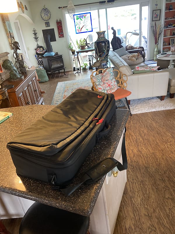 D'Addario XPND 2 Gig Bag 2022 Reverb