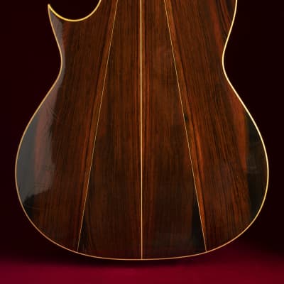 1981 Sergei de Jonge 10 String Classical Guitar - Brazilian Rosewood, Luthier Letter of Appraisal image 8