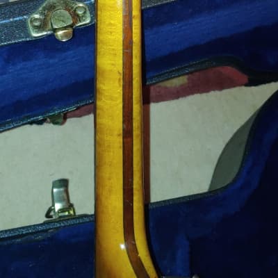 Orpheum Banjo 1920s Maple image 5