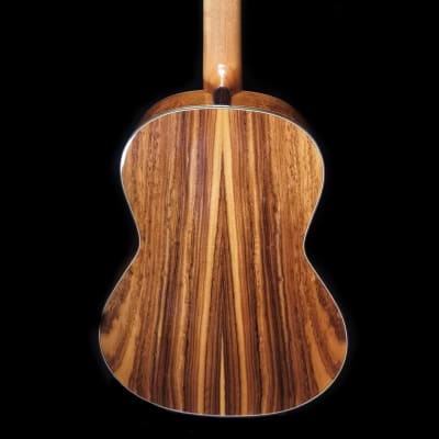 Luthier Built Concert Classical Guitar - Cedar & Bolivian Rosewood image 6