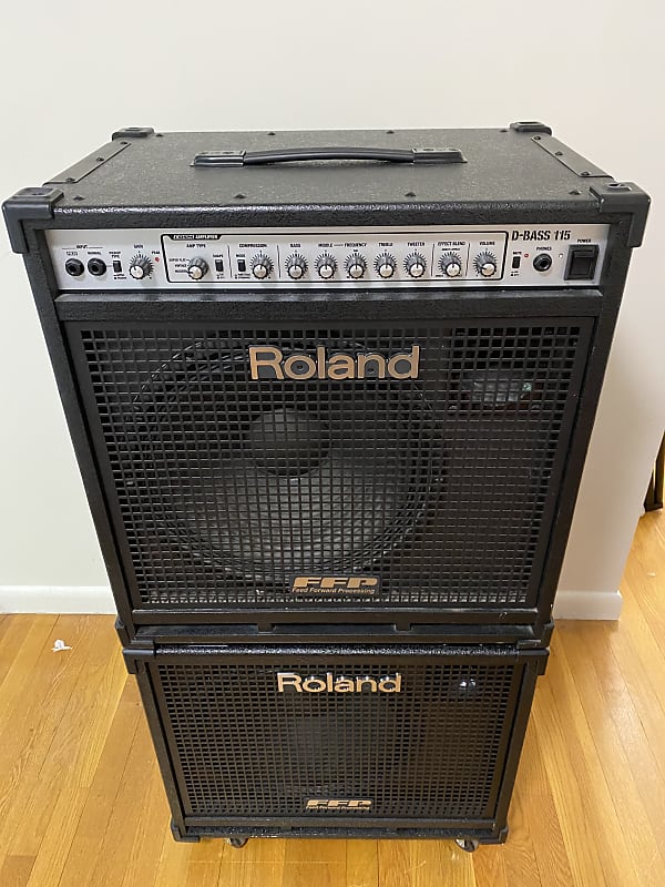 Roland D-BASS 115 + D-BASS 115X 660-Watt Bass Combo Amp Rig | Reverb