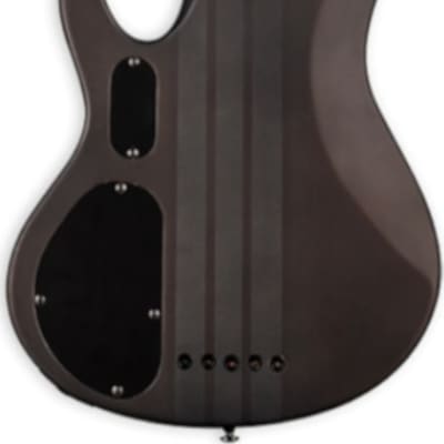 ESP LTD D-5 D Series 5-String Bass Guitar, Black Natural Burst Satin image 3