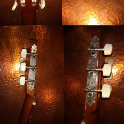 Vintage PG TG Carmen Flamenco Parlor Classical Nylon