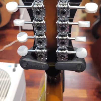 Gold Tone GM-35 F Style Mandolin with case - Tobacco Sunburst image 6