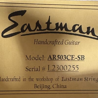 Eastman AR503CE-SB Archtop Electric Guitar in Sunburst w/ Case, Pro Setup #0255 image 9
