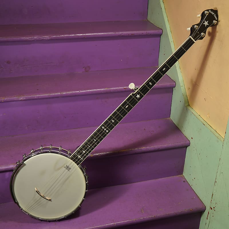 2022 Gold Tone OT-800LN Longneck 5-String Banjo (VIDEO! Fresh Setup, Ready) image 1