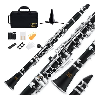 New Eastar Clarinet Set for Students Beginner / Student Ebonite Bb School Band Woodwind Instruments 2 Barrels, 3 Reeds and Mouthpiece Connectors, Hard Case, Cloth, Stand and More, Nickel-plated Keys image 1