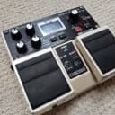 Boss DD-20 Giga Delay Guitar Effect Pedal Bass Tap Tempo Tape Instrument Memory