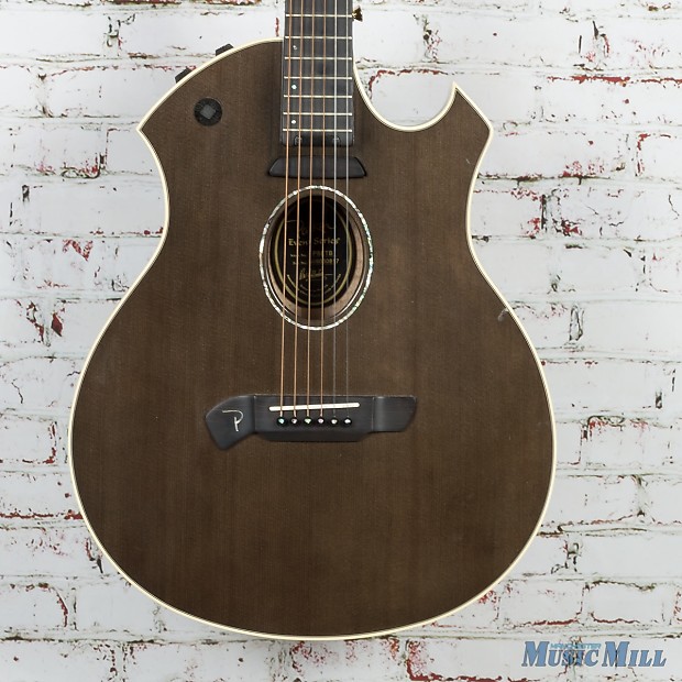 Parker acoustic guitar new arrivals