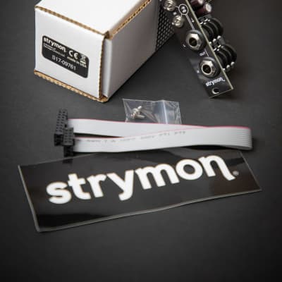Strymon AA.1 image 7