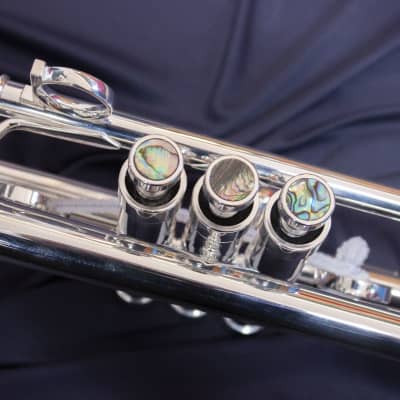 Trompeta Apolo Trumpet «Latino» Plateada image 10
