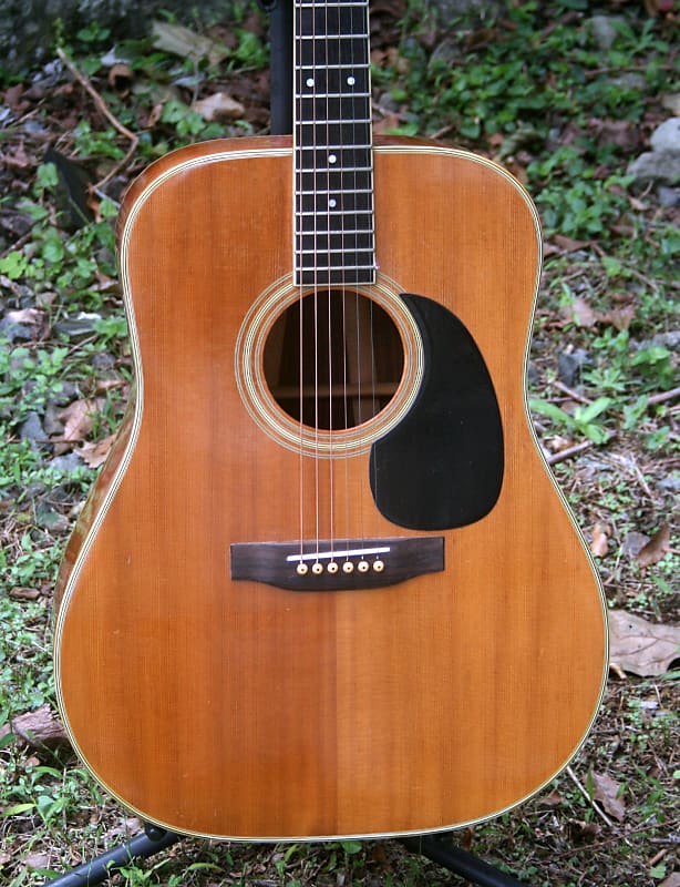 Aria Dreadnought D60 early '70 Natural by Roji Matsuoka+Hard Case