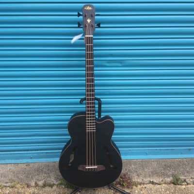 Aria - FEB F2M - Electro Acoustic Bass Guitar image 2