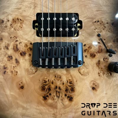 Balaguer DDG Exclusive Select Series Growler Electric Guitar w/ Bag-See-Thru Two-Tone Black Edge Burst image 6