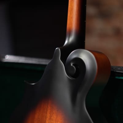 Washburn M108SWK Americana Series All Solid F-Style Maple Neck Wood Mandolin w/Hardshell Case image 11