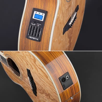 Lindo PBEQ Piebald Burl Ash and Zebrano Electro | Reverb Brazil