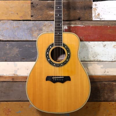 Bozo Model B80S Acoustic With Pickup image 2