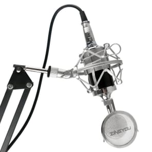 Studio Recording Condenser Microphone Set Professional XLR Condenser Mic w Accessories image 3