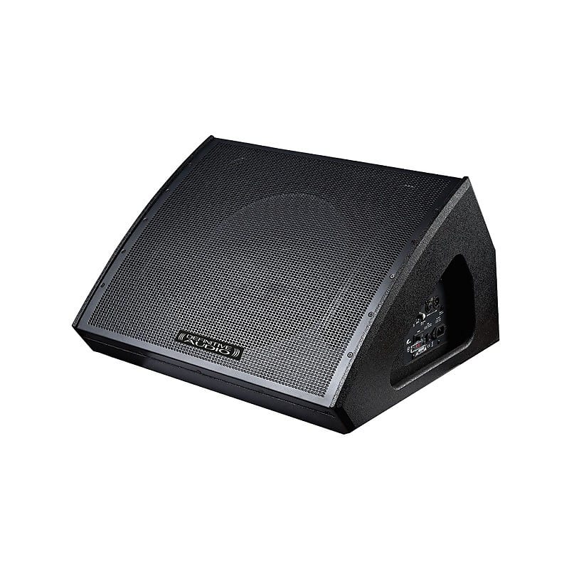 Definitive Audio Koala 12 Aw Monitor  			