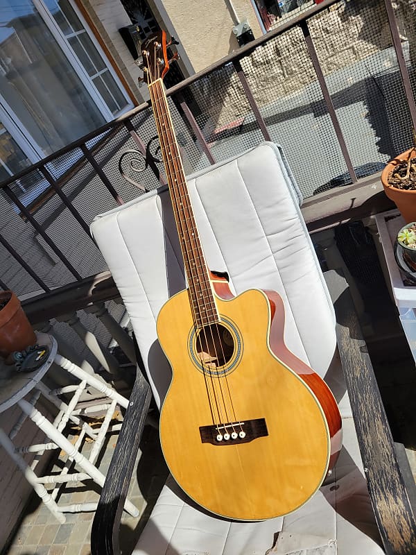 Johnson AcousticElectric Bass Guitar Reverb