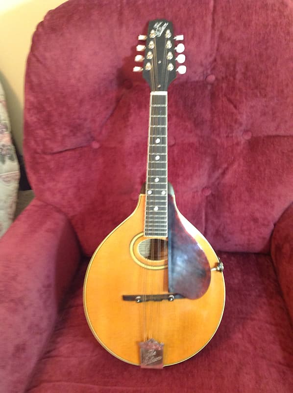 Gibson A2Z Mandolin 1924 Blond Reverb