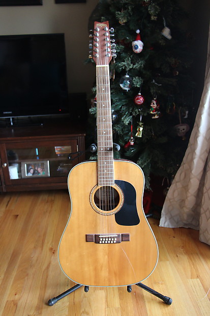 Washburn d10s12 2025