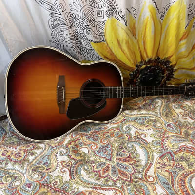 Applause AA14 Aluminum Neck Acoustic Guitar for sale