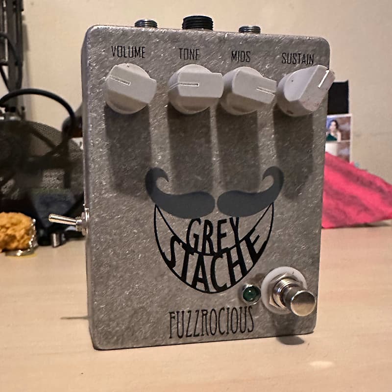 Fuzzrocious Grey Stache 2014 - Hand Painted image 1