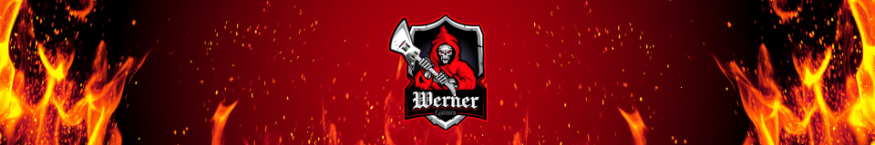 Werner Guitars