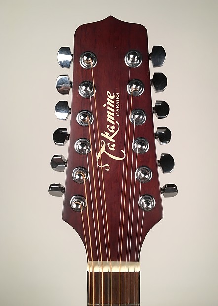 Takamine 335 store
